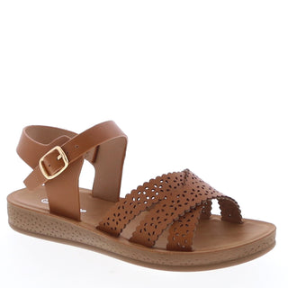 Maple-18k