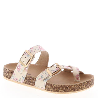 Amara-65k